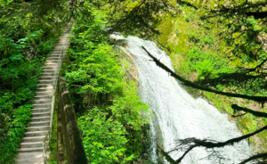 La Cascade d’Allerheiligen