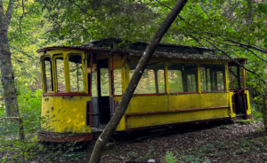 Le tram abandonné en forêt d’Alsace du nord