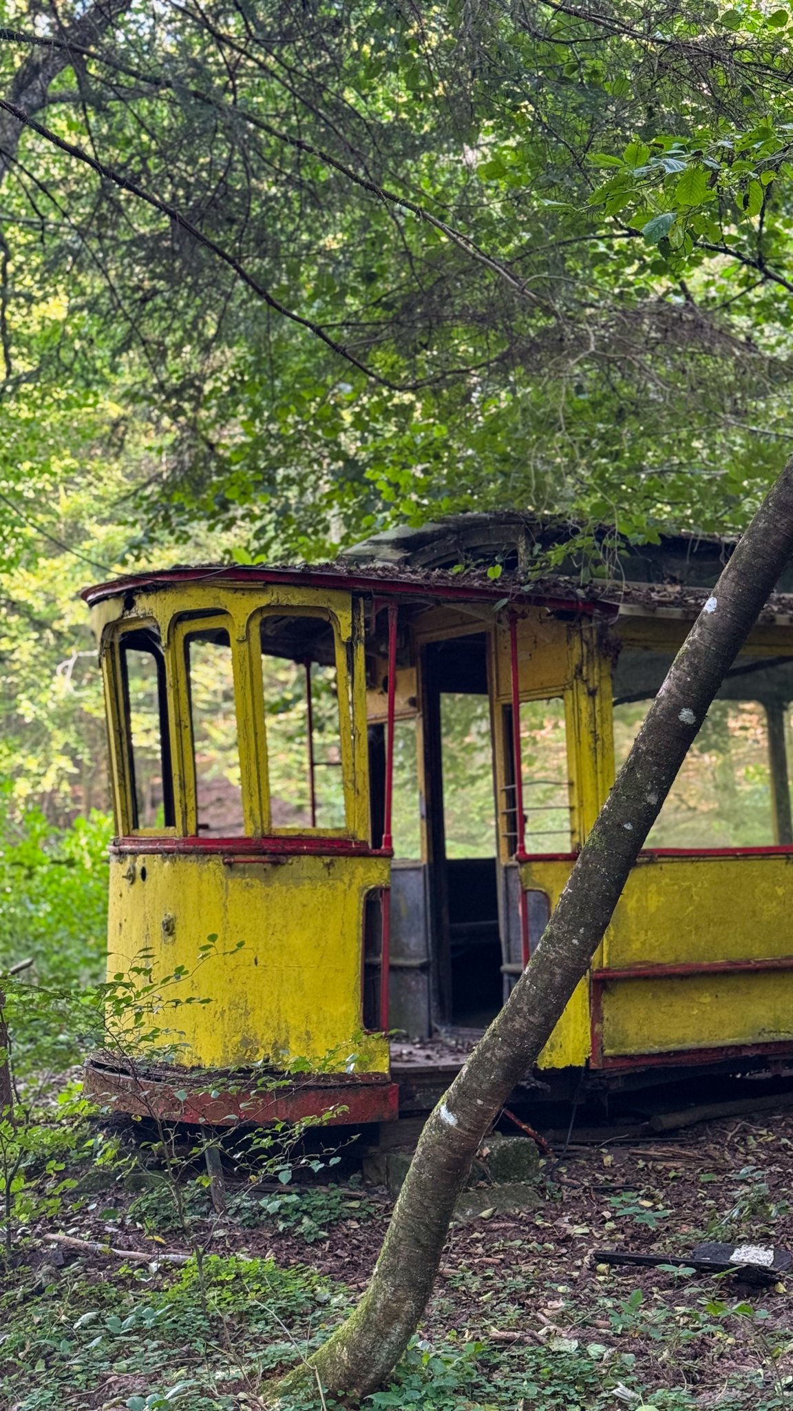 Le tram Strasbourgeois abandonné en forêt d’Alsace du nord. Lieux insolites Alsace