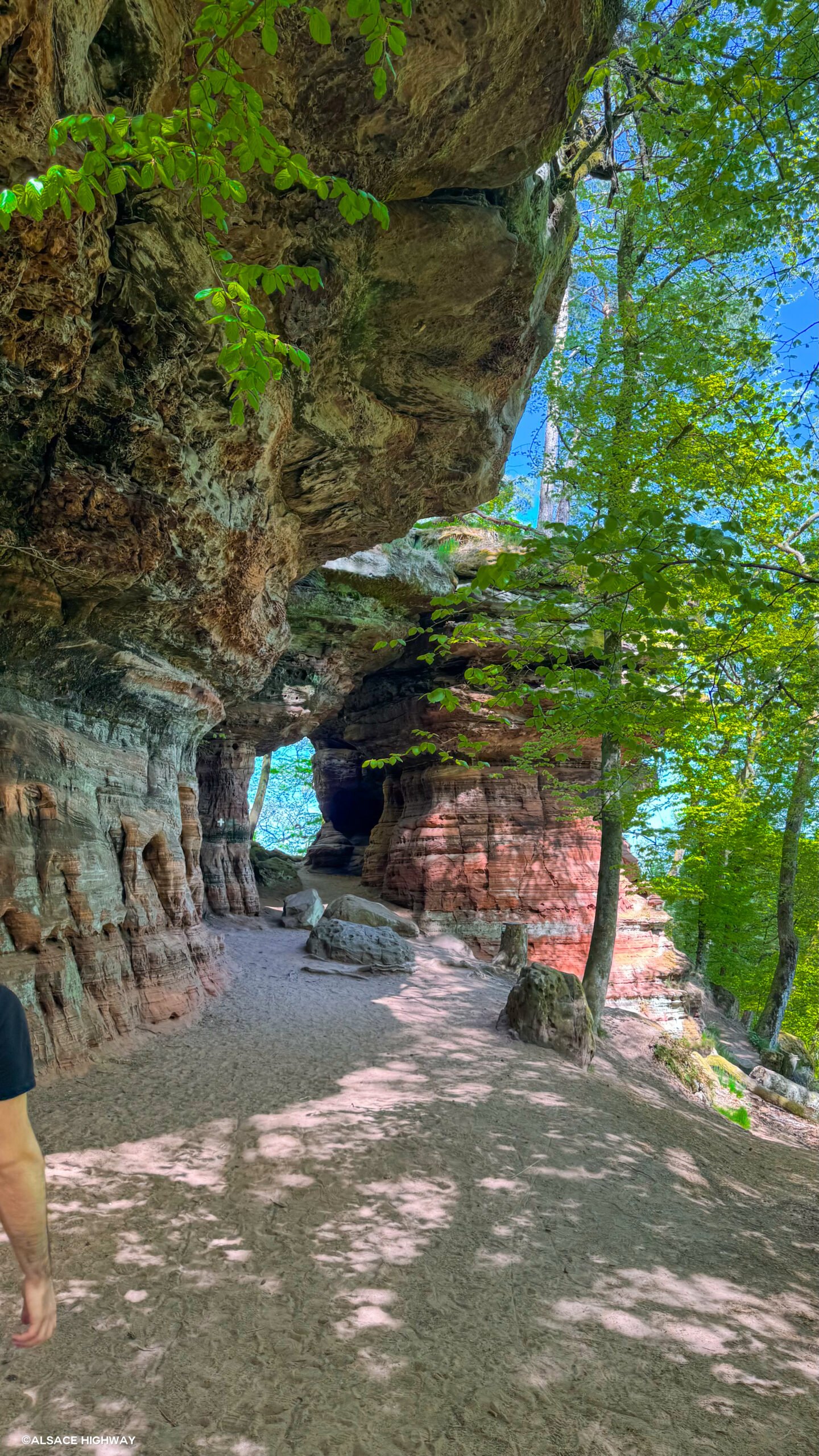 Colorado-19