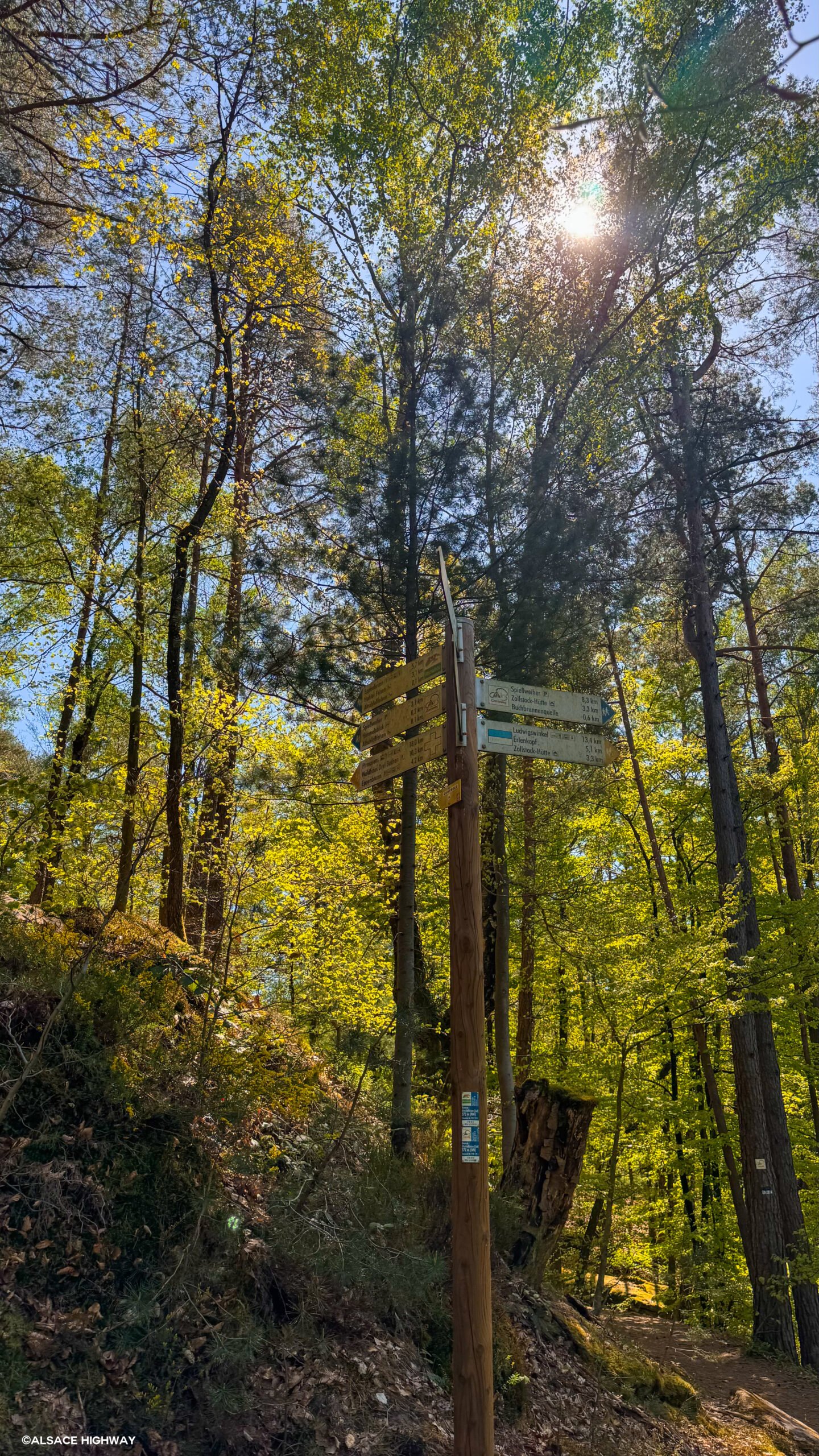 Colorado-30
