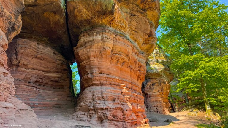 Lire la suite à propos de l’article Altschlossfelsen : le Colorado des Vosges du Nord