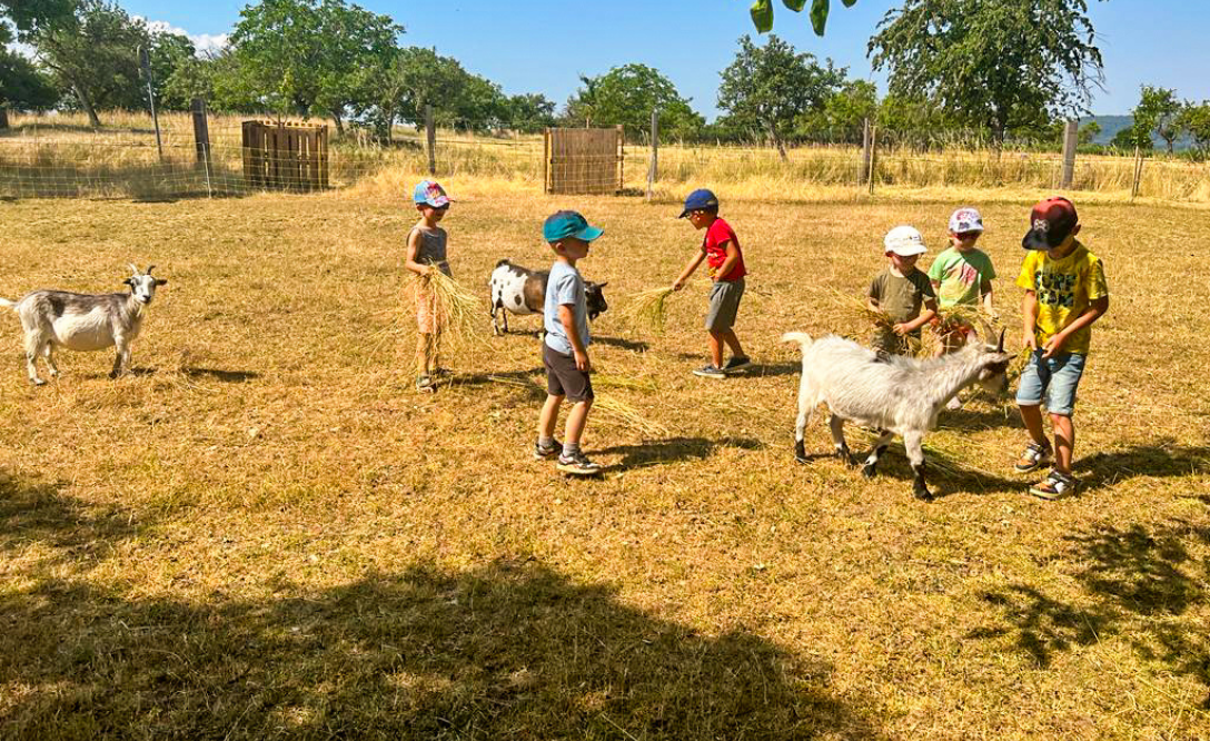 Ferme pédagogique du Hexe Hoft à Bouxwiller