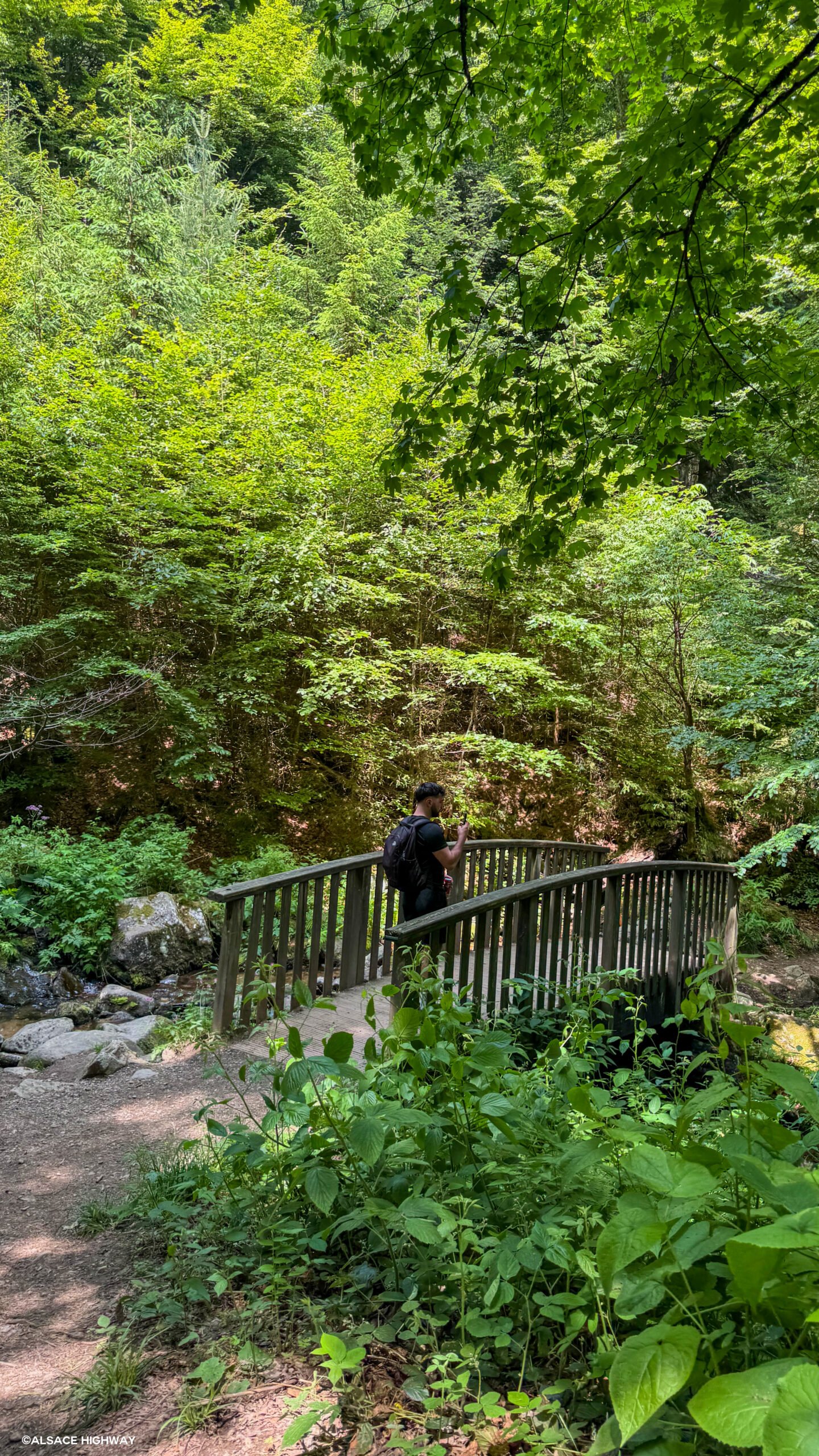 Hohwald-02