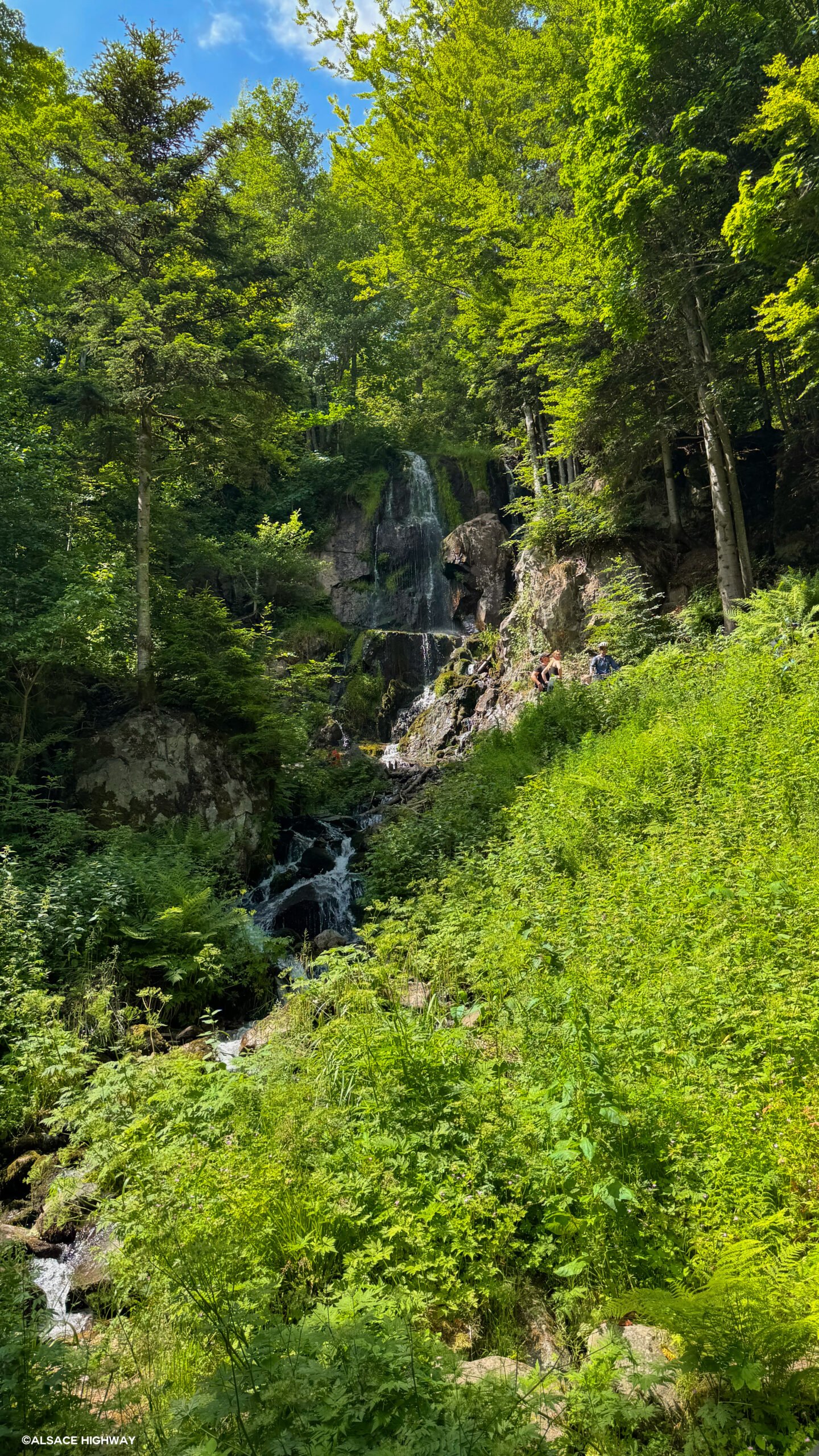Hohwald-05