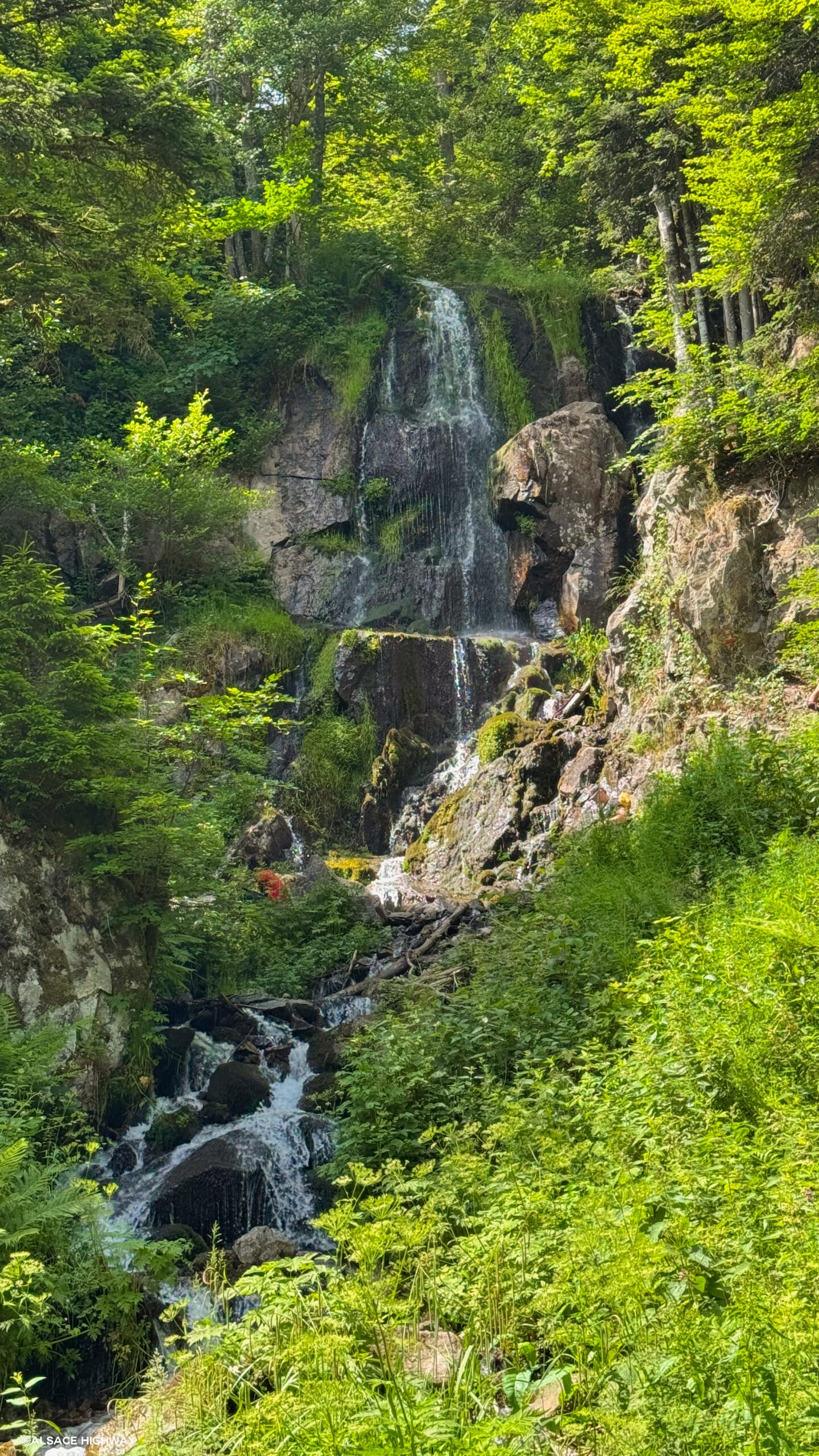 Hohwald-06