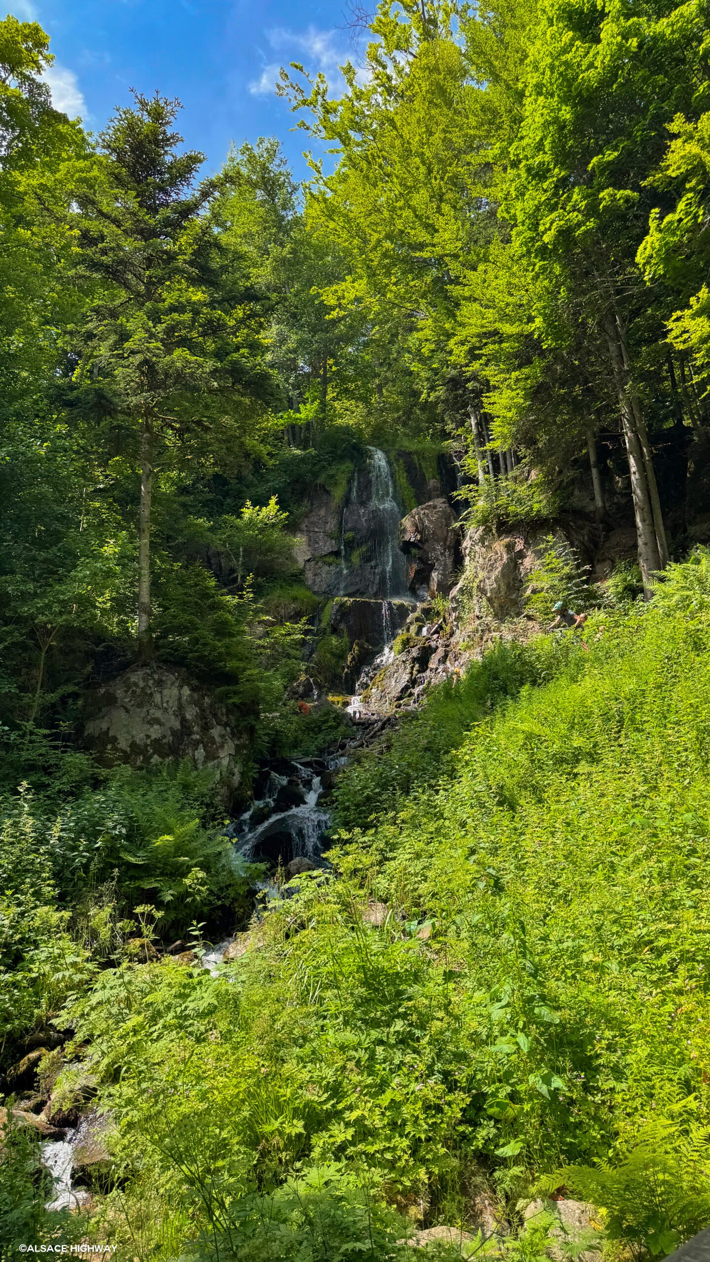 Hohwald-07