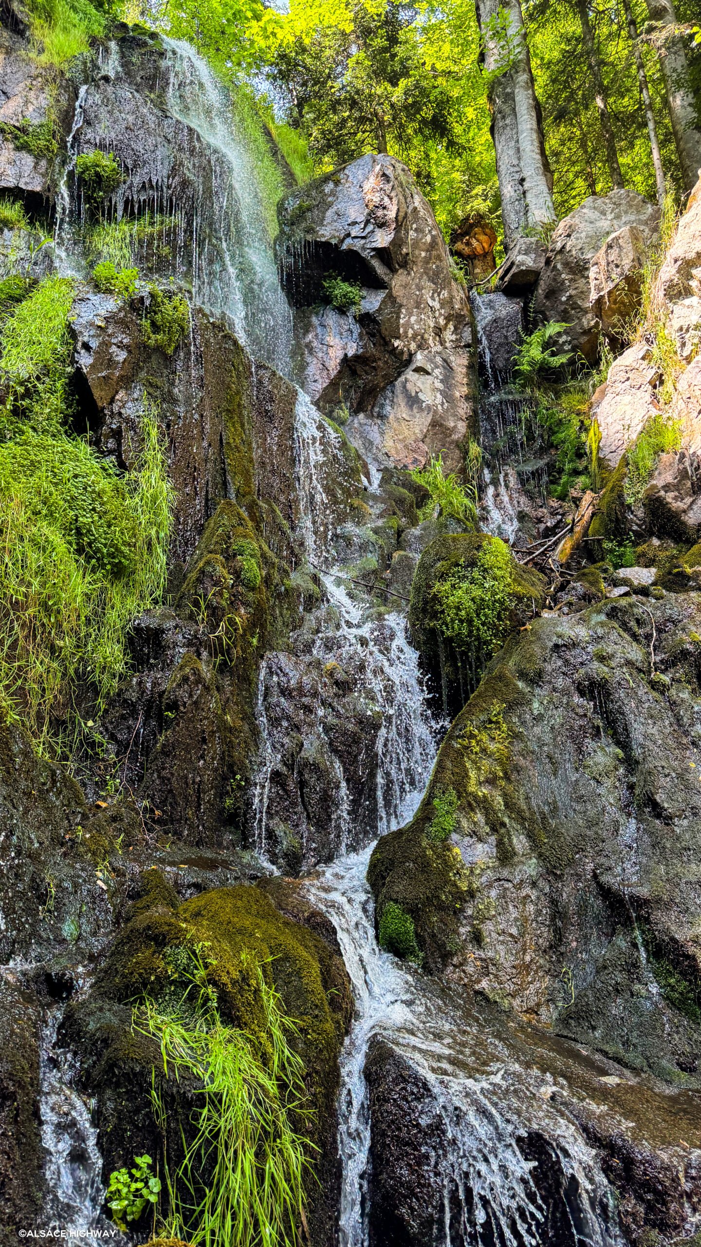Hohwald-18