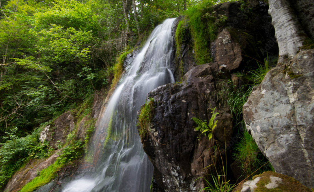 Cascade du Hohwald : balade nature au cœur des Vosges