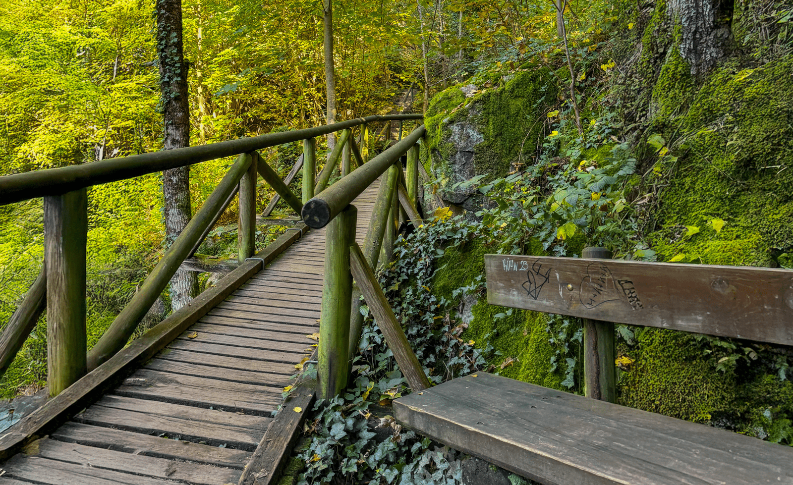 Lire la suite à propos de l’article Les Gaishöll Wasserfälle à Sasbachwalden : rando, cascades et vignes dans la Forêt-Noire