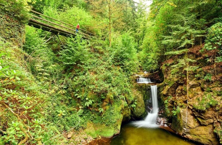 Lire la suite à propos de l’article La cascade de Geroldsau à deux pas de Baden-Baden